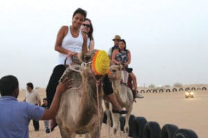 Camel Safari Dubai