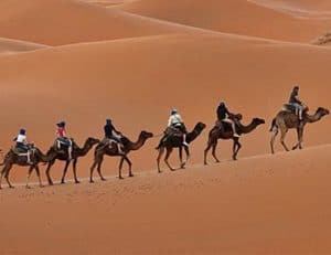 camel ride dubai